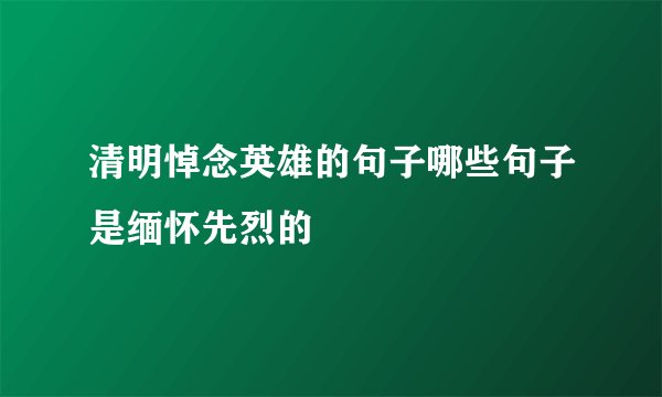 清明悼念英雄的句子哪些句子是缅怀先烈的