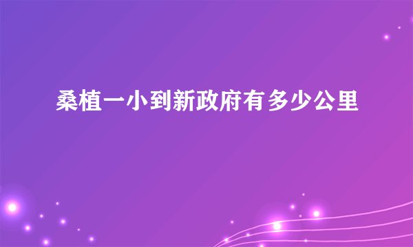 桑植一小到新政府有多少公里