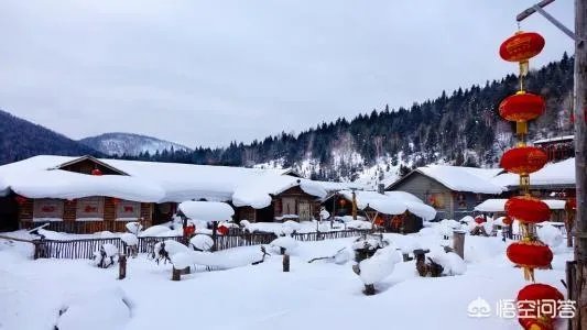 明知道雪乡宰客,为什么还有人要去,不能找正规旅行社吗?