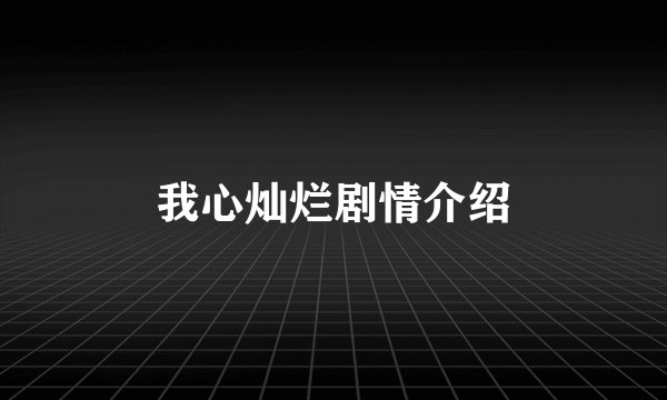我心灿烂剧情介绍