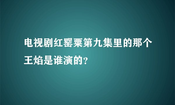 电视剧红罂粟第九集里的那个王焰是谁演的？