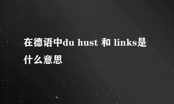 在德语中du hust 和 links是什么意思
