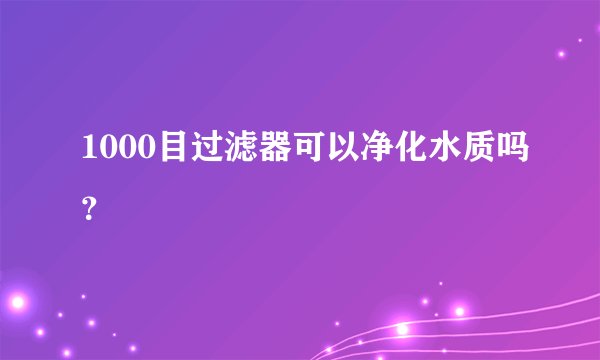 1000目过滤器可以净化水质吗?