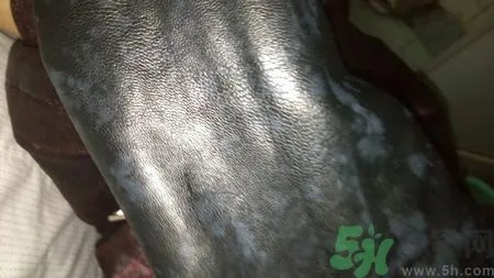 皮衣上的霉点怎么去除?皮衣发霉怎么处理?