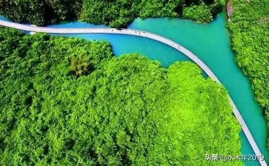 贵州高速封路情况什么时候恢复？