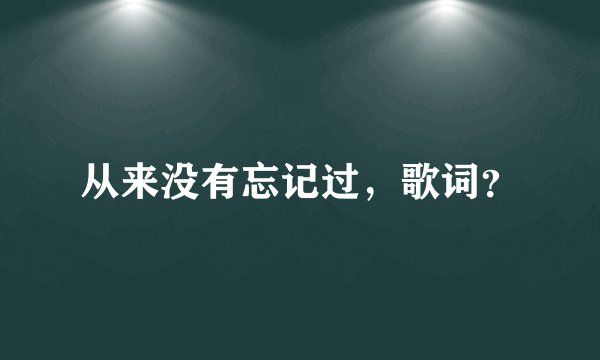 从来没有忘记过，歌词？