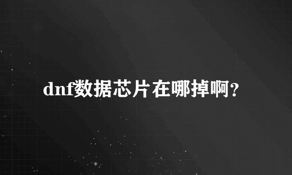 dnf数据芯片在哪掉啊？