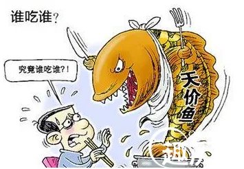 四川自贡现天价鱼 两条普通鱼1190元