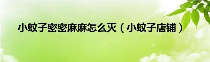 小蚊子密密麻麻怎么灭(小蚊子店铺)