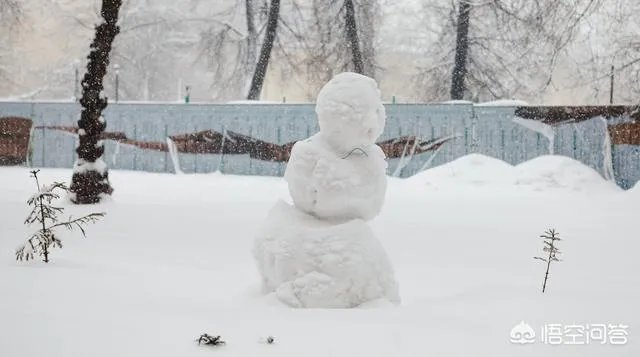为什么说俄罗斯莫斯科2月3、4日的降雪是“世纪大雪”,人们的生活受到哪些影响?
