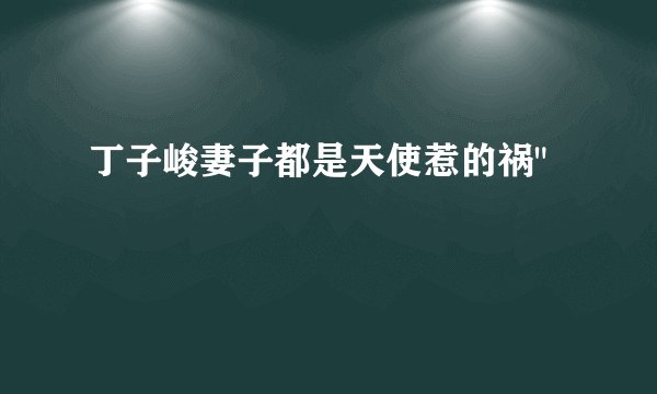 丁子峻妻子都是天使惹的祸