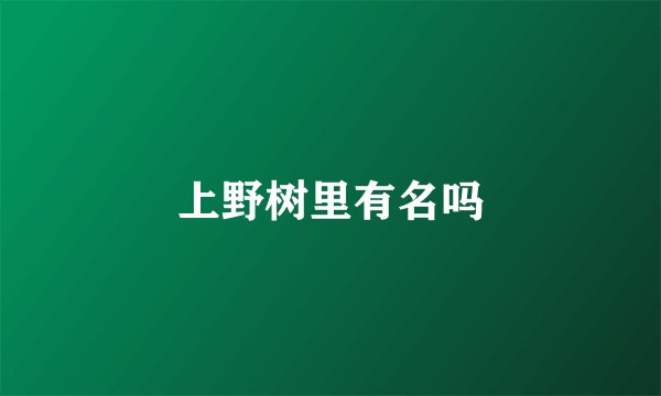 上野树里有名吗