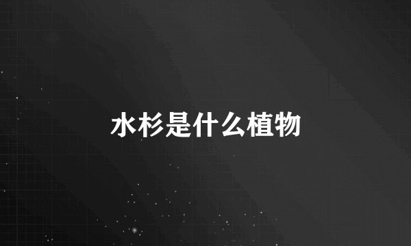水杉是什么植物