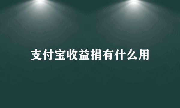 支付宝收益捐有什么用