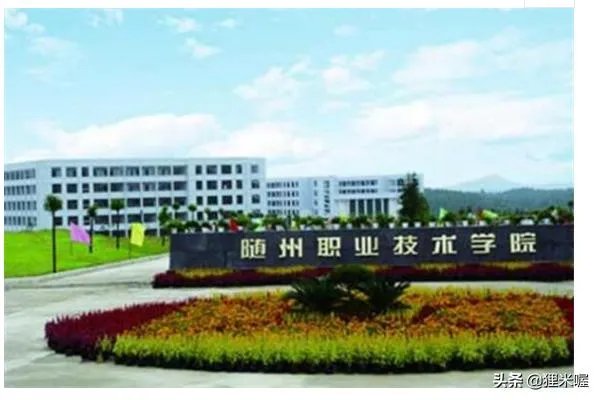 湖北专科大学有哪些2019湖北所有专科大学排名及分数线?