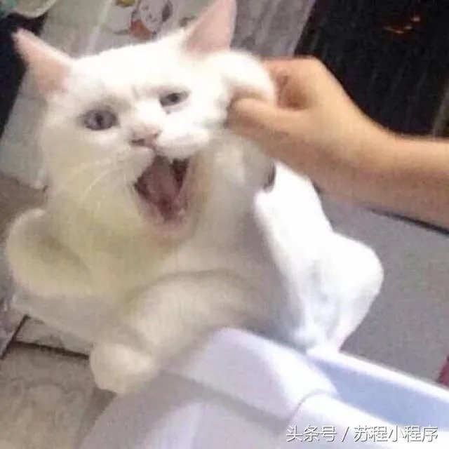 刘强东做了村长,你怎么看?