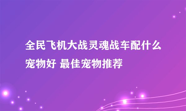 全民飞机大战灵魂战车配什么宠物好 最佳宠物推荐