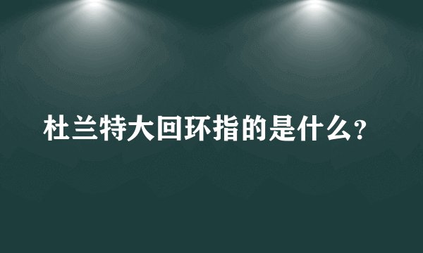 杜兰特大回环指的是什么？