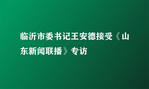 临沂市委书记王安德接受《山东新闻联播》专访