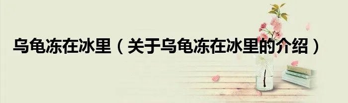 乌龟冻在冰里（关于乌龟冻在冰里的介绍）