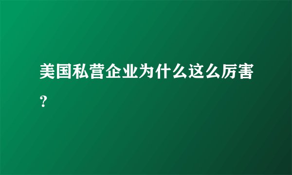 美国私营企业为什么这么厉害?