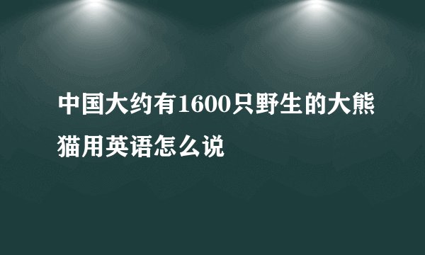 中国大约有1600只野生的大熊猫用英语怎么说