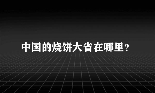 中国的烧饼大省在哪里?
