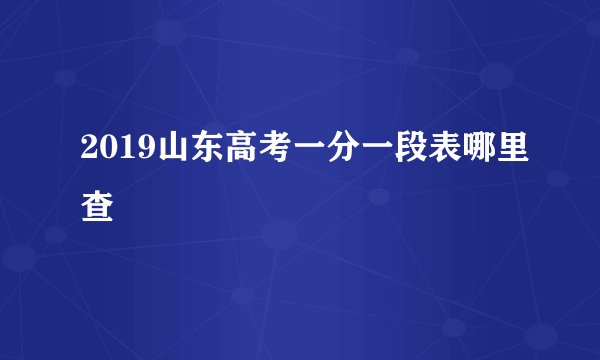 2019山东高考一分一段表哪里查