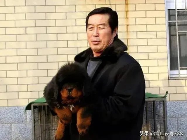 养藏獒，培养王军霞等奥运冠军，70多岁的马俊仁现状如何？