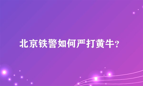 北京铁警如何严打黄牛？