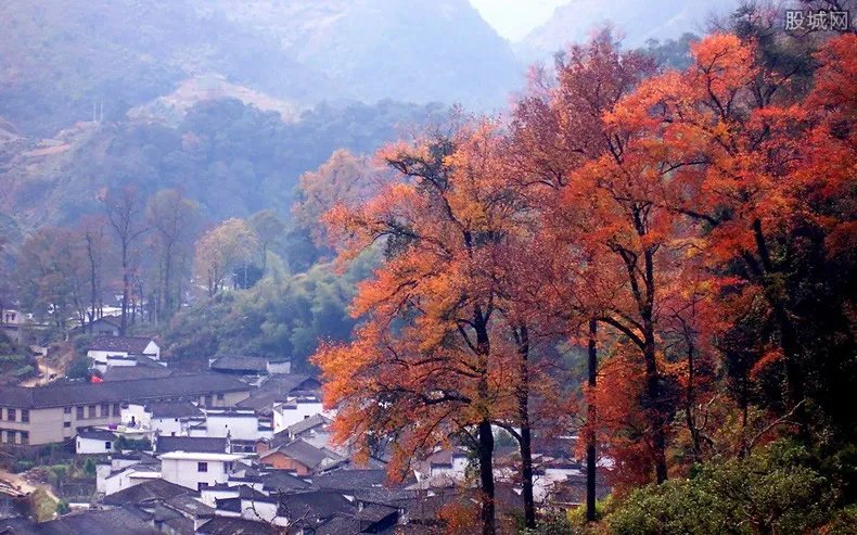 元旦三天适合去哪里旅游 这些地方最适合元旦假期去