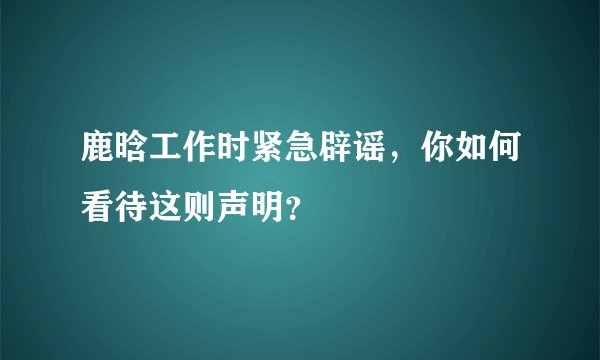 鹿晗工作时紧急辟谣，你如何看待这则声明？