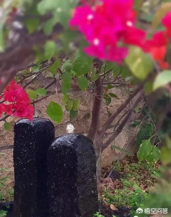 别墅装修中如何建造一座美丽的喷泉水景？