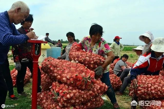 2019年会不会重现当年的“蒜你狠”?