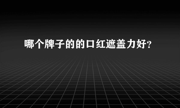 哪个牌子的的口红遮盖力好？