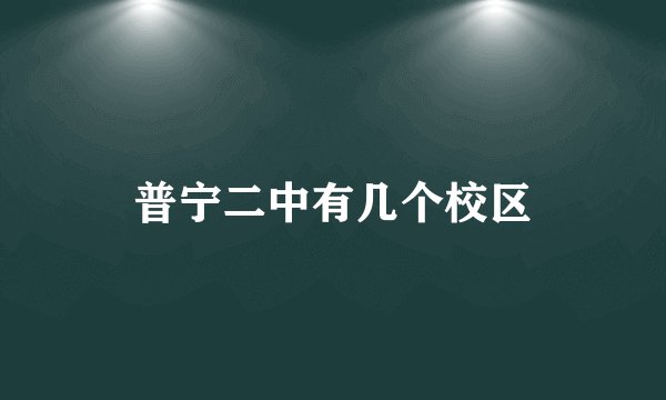 普宁二中有几个校区