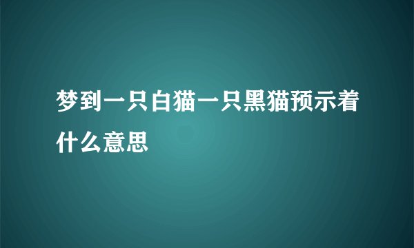 梦到一只白猫一只黑猫预示着什么意思