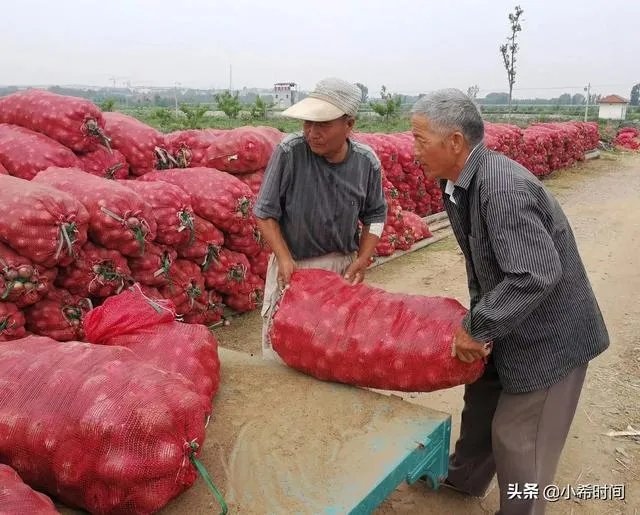 大蒜降价了