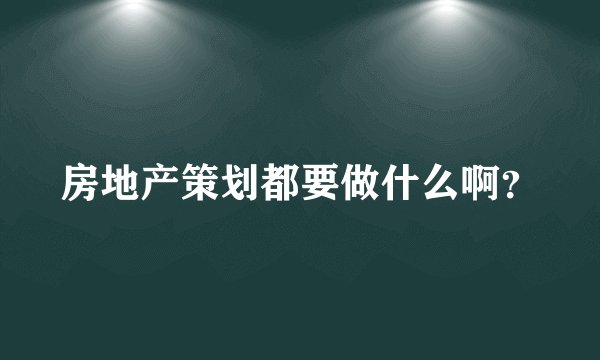 房地产策划都要做什么啊？