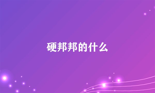 硬邦邦的什么