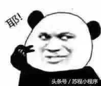 刘强东做了村长,你怎么看?