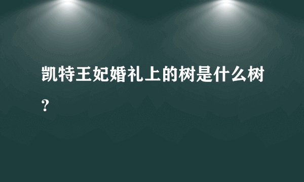 凯特王妃婚礼上的树是什么树？