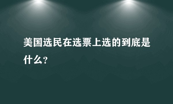 美国选民在选票上选的到底是什么？