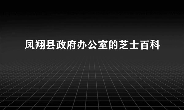 凤翔县政府办公室的芝士百科