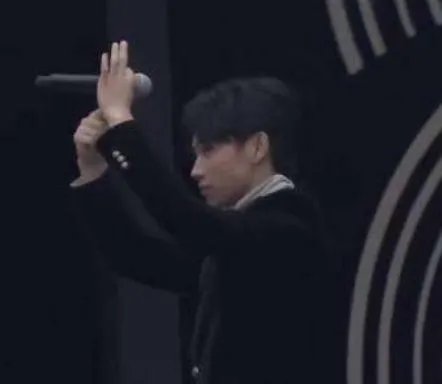 魏晨是在什么情况下说专业的歌手不假唱呢?