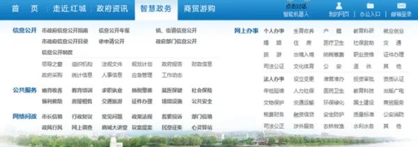 电子政务软件开发公司在国内有哪些做得专业的