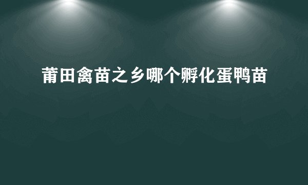 莆田禽苗之乡哪个孵化蛋鸭苗
