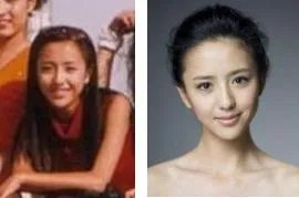 没有整过容的明星你们知道有谁?