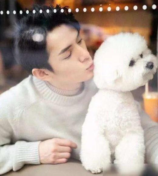 李佳琦带爱犬去宠物学校学习期间被拍到抽烟,大家如何看待?