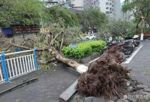 四川安岳现13级大风,遇到这种恶劣天气,当地居民们该怎么做?